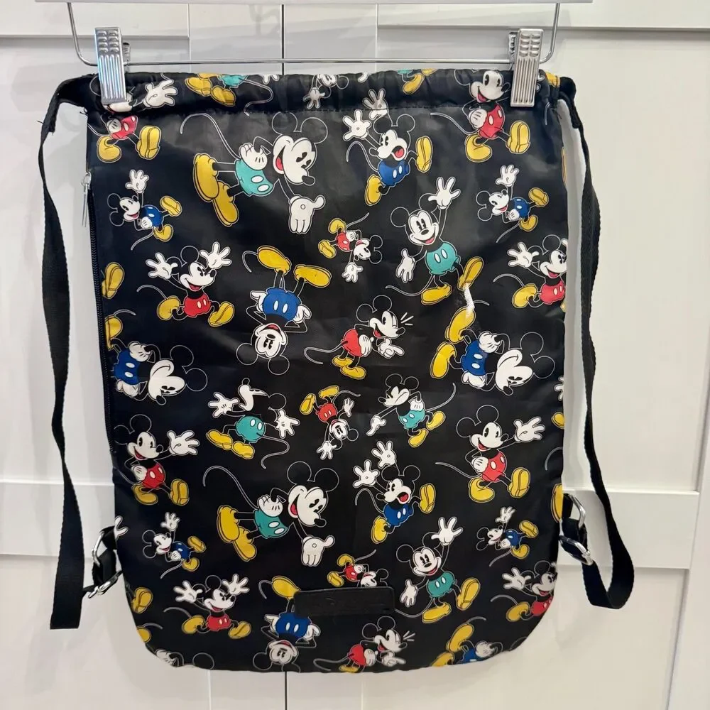 Disney authentic parks
